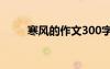 寒風(fēng)的作文300字左右 寒風(fēng)的作文