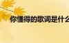 你懂得的歌詞是什么意思 你懂得的歌詞