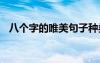 八個(gè)字的唯美句子種類 八個(gè)字的唯美句子