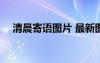 清晨寄語(yǔ)圖片 最新圖片 清晨寄語(yǔ)帶圖片