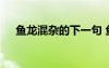 魚龍混雜的下一句 魚龍混雜是貶義詞嗎