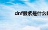 dnf假紫是什么裝備（dnf假紫）
