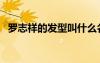 羅志祥的發(fā)型叫什么名字（羅志祥的發(fā)型）