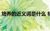 培養(yǎng)的近義詞是什么 標(biāo)準(zhǔn)答案 培養(yǎng)的近義詞