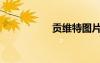 貢維特圖片（貢維特）