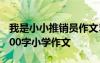我是小小推銷員作文500字 我是小小推銷員200字小學(xué)作文