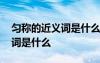 勻稱的近義詞是什么詞語是什么 勻稱的近義詞是什么