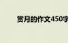 賞月的作文450字左右 賞月的作文
