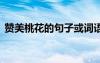 贊美桃花的句子或詞語 贊美桃花的好詞好句
