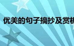優(yōu)美的句子摘抄及賞析 優(yōu)美的句子摘抄賞析