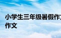 小學生三年級暑假作文4篇 小學生三年級暑假作文