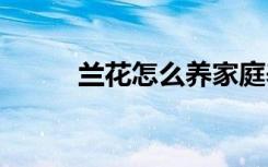 蘭花怎么養(yǎng)家庭養(yǎng)法 如何養(yǎng)蕙蘭