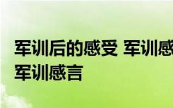 軍訓后的感受 軍訓感言怎么寫 軍訓后的感受 軍訓感言