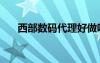 西部數(shù)碼代理好做嗎（西部數(shù)碼代理）
