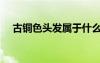 古銅色頭發(fā)屬于什么色系（古銅色頭發(fā)）