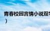 青春校園言情小說(shuō)雙學(xué)霸（青春校園言情小說(shuō)）