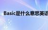 Basic是什么意思英語（basic是什么意思）