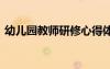 幼兒園教師研修心得體會(huì) 教師研修心得體會(huì)
