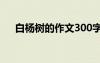 白楊樹(shù)的作文300字左右 白楊樹(shù)的作文