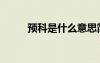 預科是什么意思簡單說（域客士）