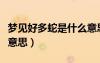 夢(mèng)見(jiàn)好多蛇是什么意思呢（夢(mèng)見(jiàn)好多蛇是什么意思）