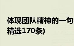 體現(xiàn)團(tuán)隊精神的一句話 體現(xiàn)團(tuán)隊精神的口號(精選170條)