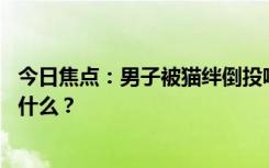 今日焦點(diǎn)：男子被貓絆倒投喂者賠24萬案再審，具體情況是什么？