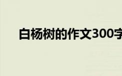 白楊樹的作文300字左右 白楊樹的作文