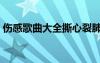 傷感歌曲大全撕心裂肺的歌（撕心裂肺的歌）