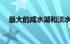 最大的咸水湖和淡水湖（最大的咸水湖）