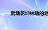 武動乾坤林動的老婆（林動的老婆）