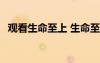觀看生命至上 生命至上觀后感 電影觀后感