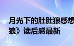 月光下的肚肚狼感想和總結(jié) 《月光下的肚肚狼》讀后感最新