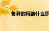 魯莽的柯維什么職業(yè)（魯莽的柯維）