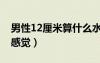 男性12厘米算什么水平（20厘米男生進(jìn)去啥感覺）