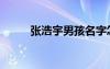 張浩宇男孩名字怎么樣（張浩宇）
