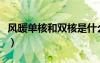 風(fēng)暖單核和雙核是什么意思（雙核是什么意思）