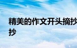 精美的作文開頭摘抄高中 精美的作文開頭摘抄