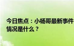 今日焦點(diǎn)：小楊哥最新事件!2024親自發(fā)端午節(jié)福利，具體情況是什么？