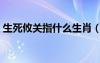 生死攸關(guān)指什么生肖（生死攸關(guān)是什么生肖）