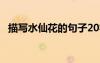 描寫水仙花的句子20字 描寫水仙花的句子