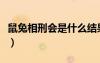 鼠兔相刑會是什么結(jié)果（鼠兔相刑是誰生誰死）