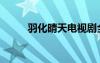 羽化晴天電視劇全集（羽化晴天）