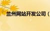 蘭州網(wǎng)站開發(fā)公司（蘭州網(wǎng)站設(shè)計(jì)公司）