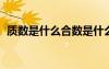 質(zhì)數(shù)是什么合數(shù)是什么 概念（質(zhì)數(shù)是什么）