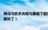 騎馬與砍殺光明與黑暗下載地址（騎馬與砍殺光明與黑暗破解補(bǔ)丁）
