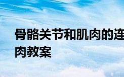 骨骼關(guān)節(jié)和肌肉的連接是什么 骨骼關(guān)節(jié)和肌肉教案
