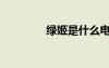 綠姬是什么電視劇（綠姬）