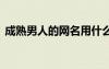 成熟男人的網(wǎng)名用什么好聽 成熟男人的網(wǎng)名