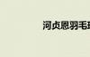 河貞恩羽毛球（河貞恩）